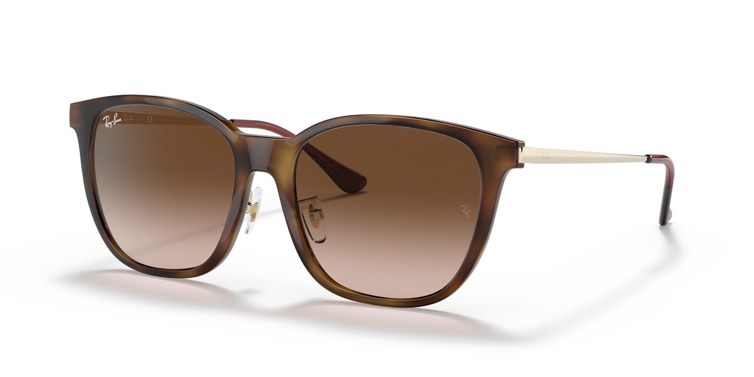 Ray-Ban | 0RB4333D