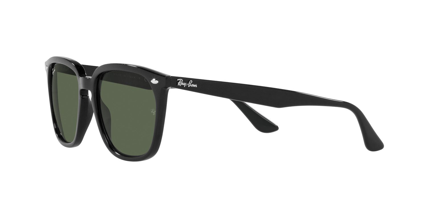 Ray-Ban | 0RB4362
