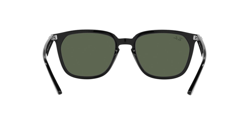 Ray-Ban | 0RB4362
