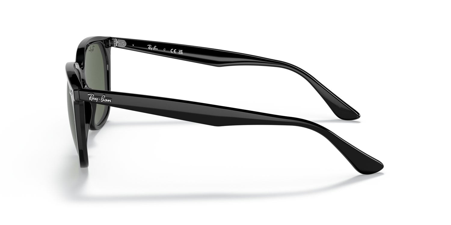 Ray-Ban | 0RB4362