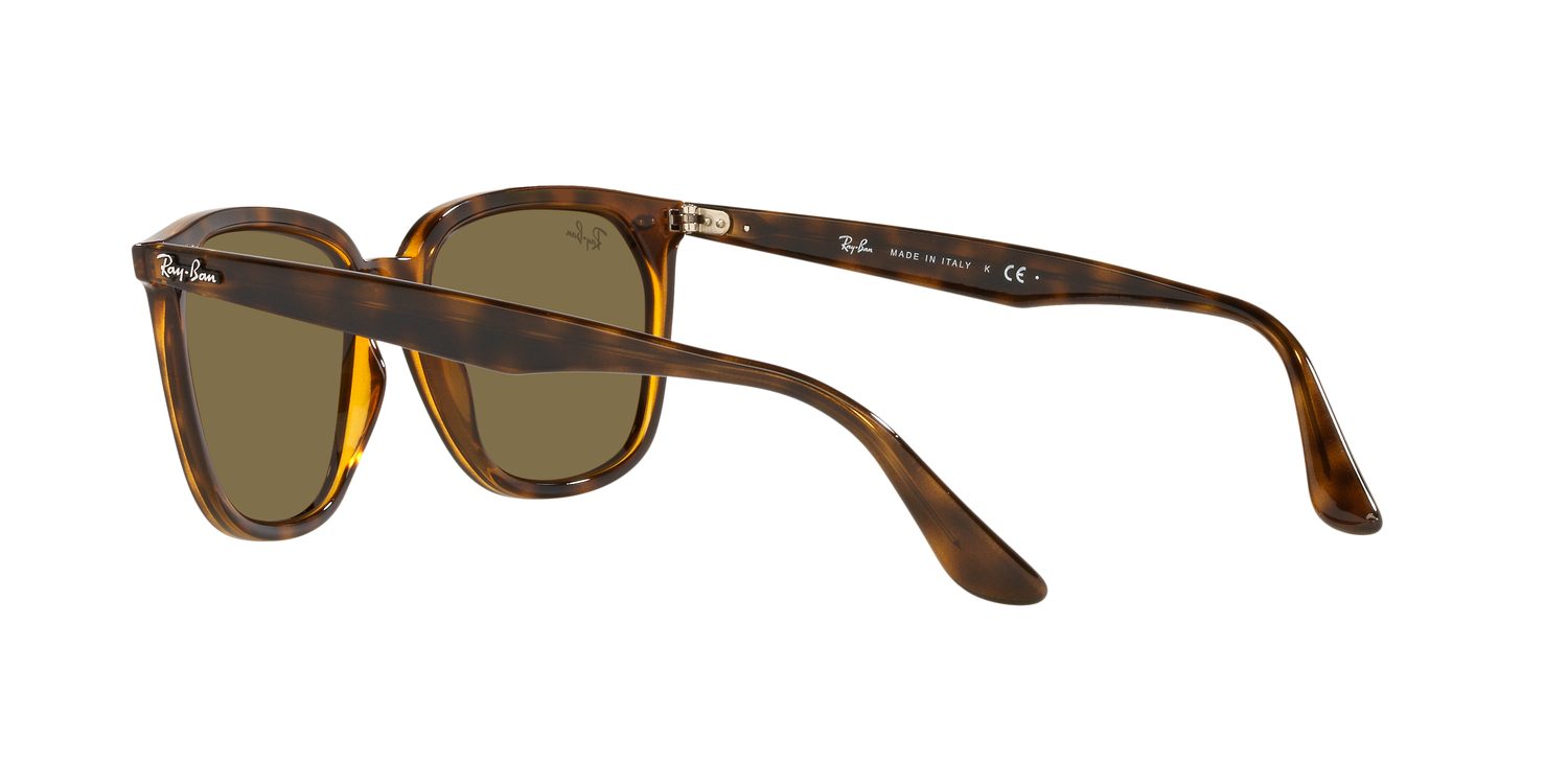 Ray-Ban | 0RB4362