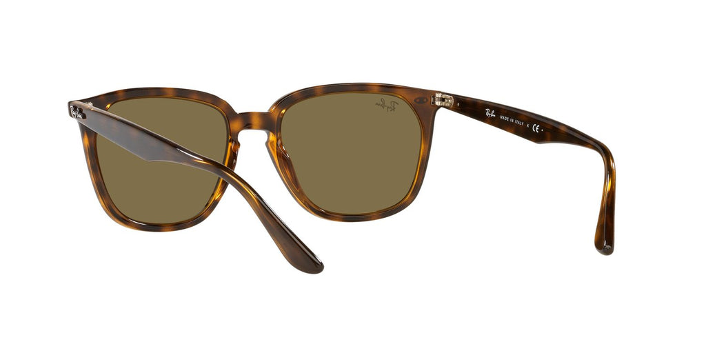 Ray-Ban | 0RB4362