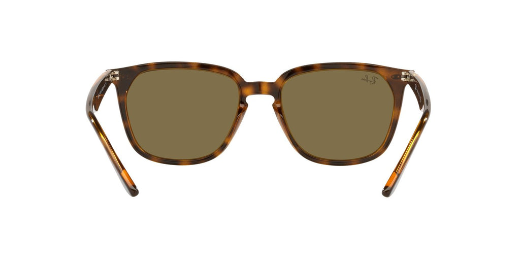 Ray-Ban | 0RB4362