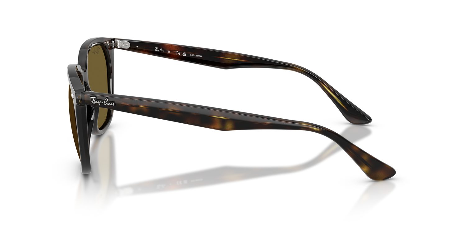 Ray-Ban | 0RB4362