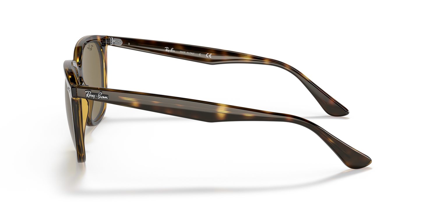 Ray-Ban | 0RB4362