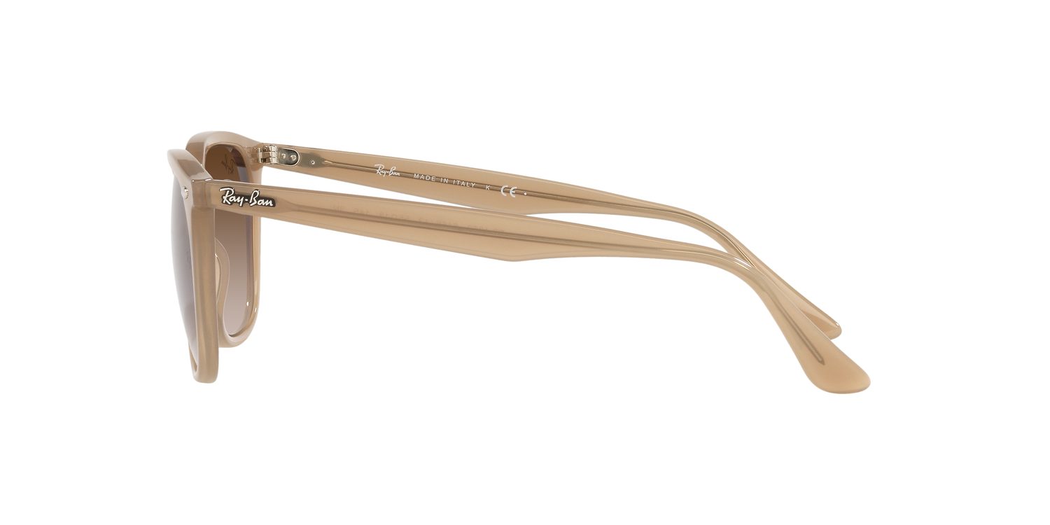 Ray-Ban | 0RB4362