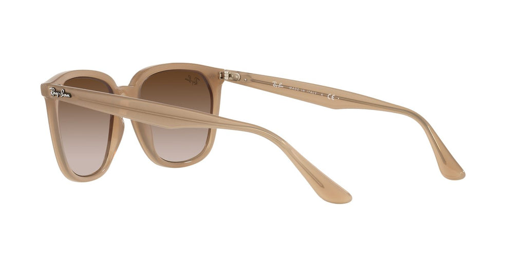 Ray-Ban | 0RB4362
