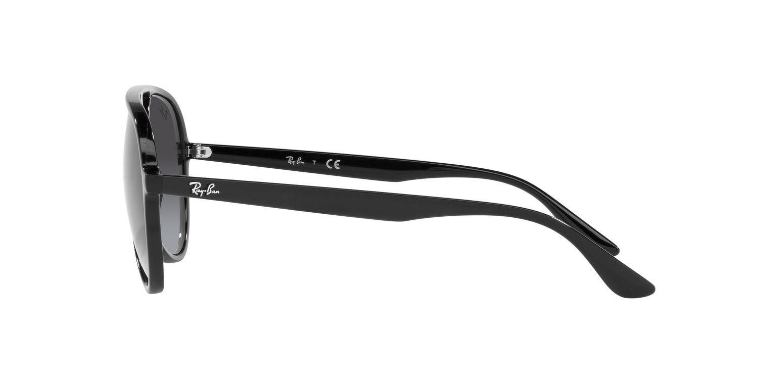 Ray-Ban | 0RB4376
