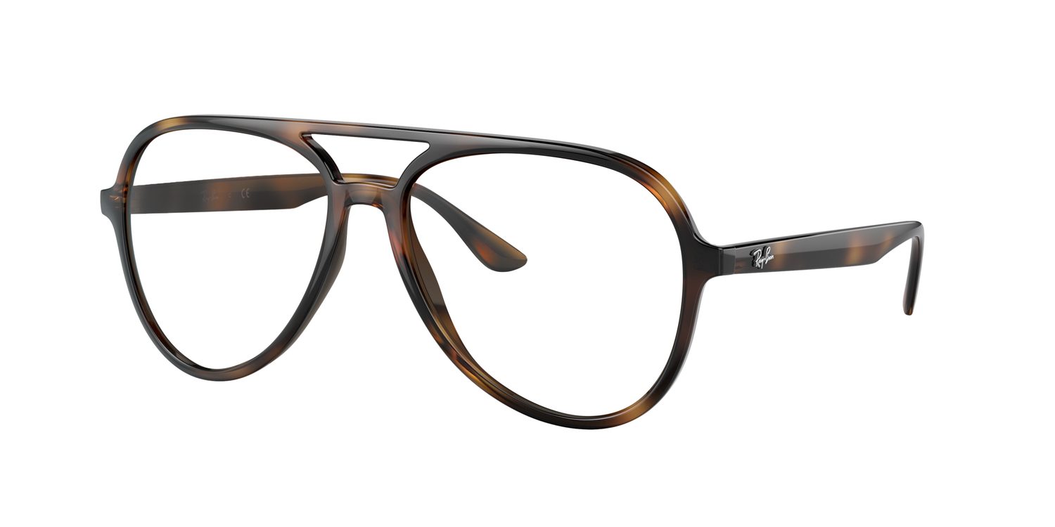 Ray-Ban | 0RB4376