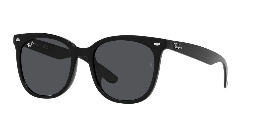 Ray-Ban | 0RB4379D