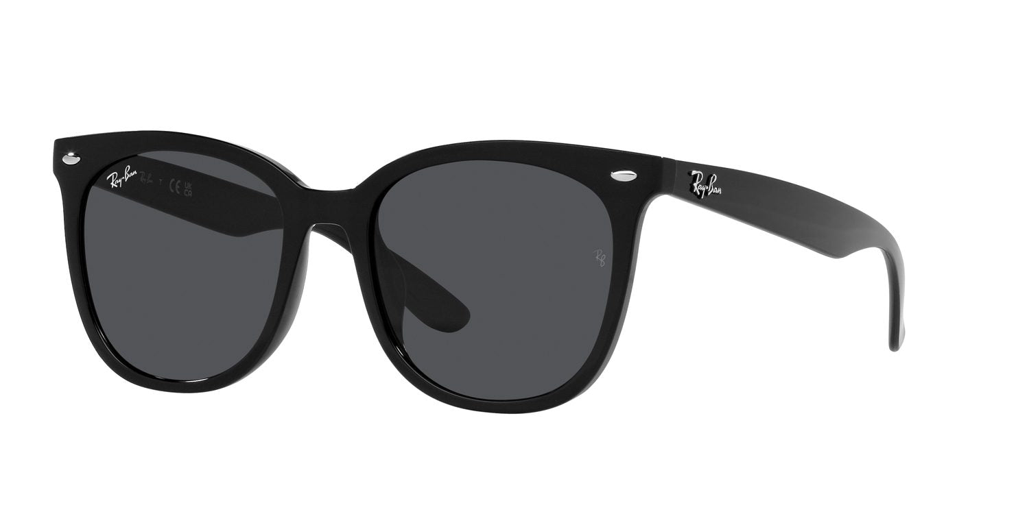 Ray-Ban | 0RB4379D