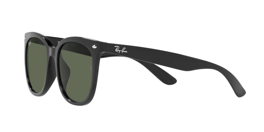 Ray-Ban | 0RB4379D