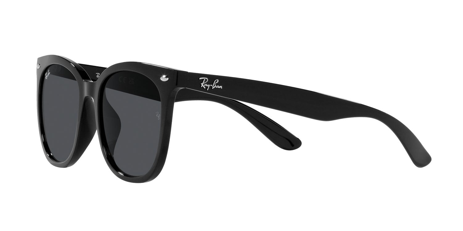 Ray-Ban | 0RB4379D