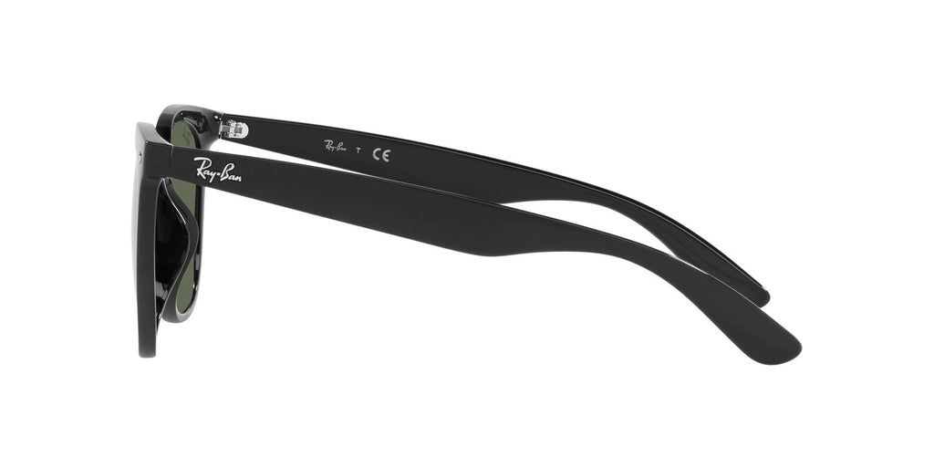 Ray-Ban | 0RB4379D