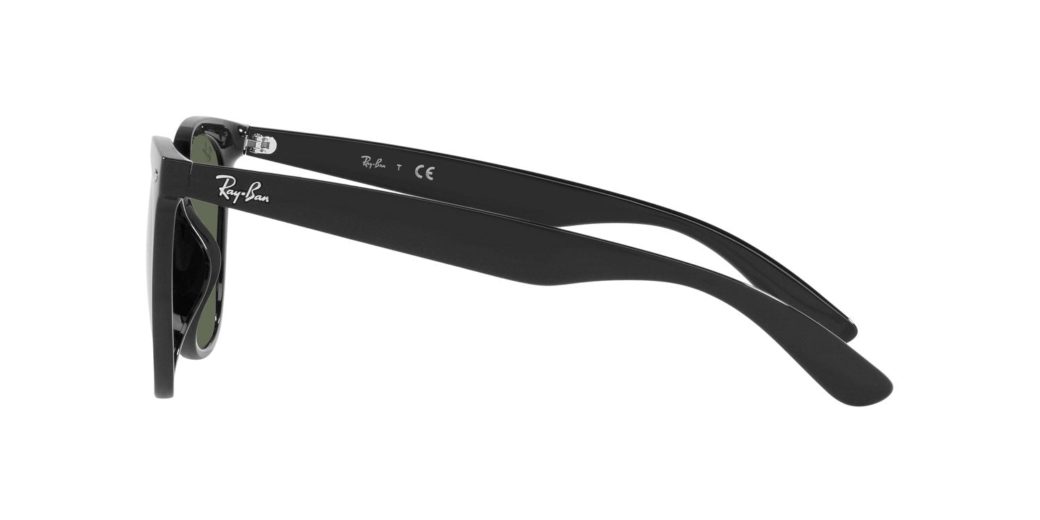 Ray-Ban | 0RB4379D