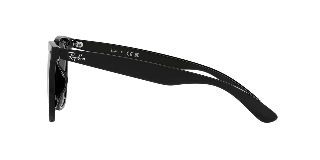 Ray-Ban | 0RB4379D