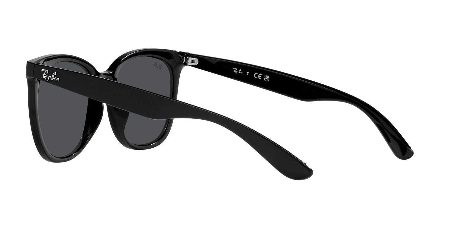 Ray-Ban | 0RB4379D