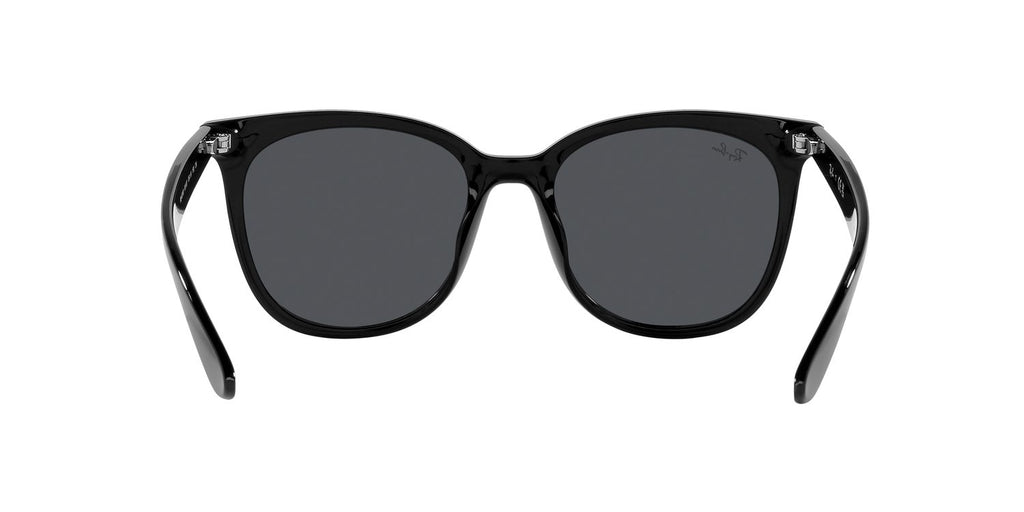 Ray-Ban | 0RB4379D