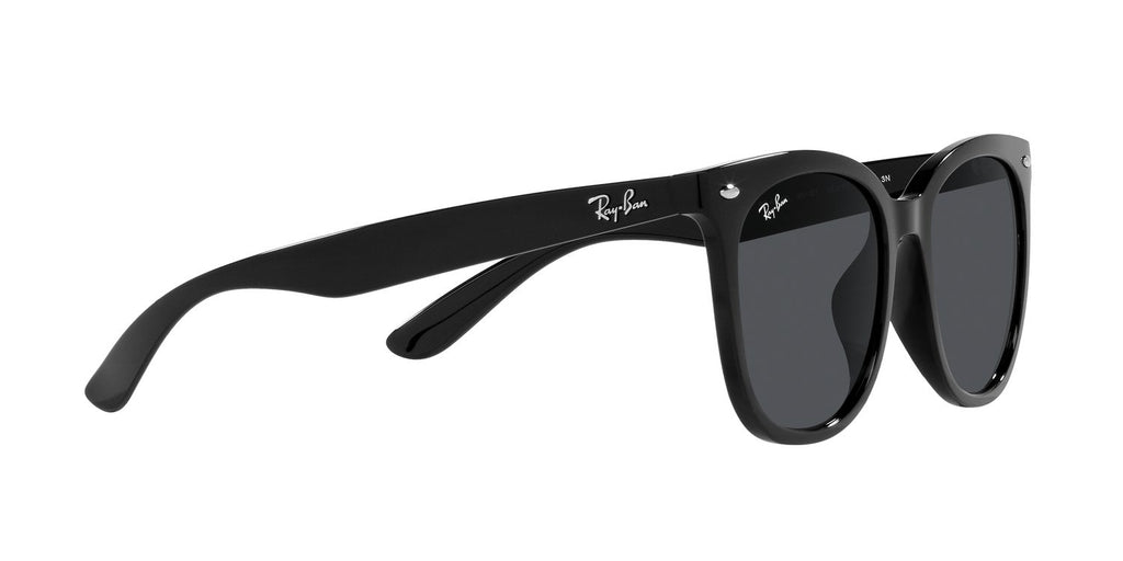 Ray-Ban | 0RB4379D