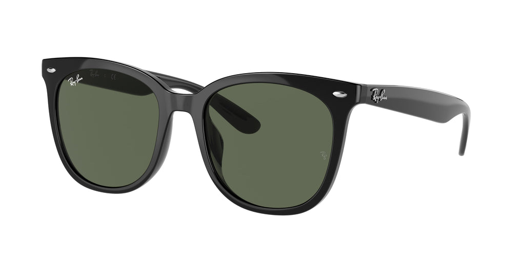Ray-Ban | 0RB4379D