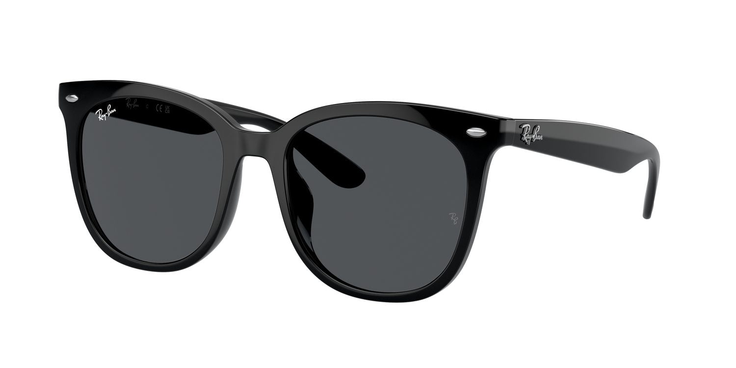 Ray-Ban | 0RB4379D