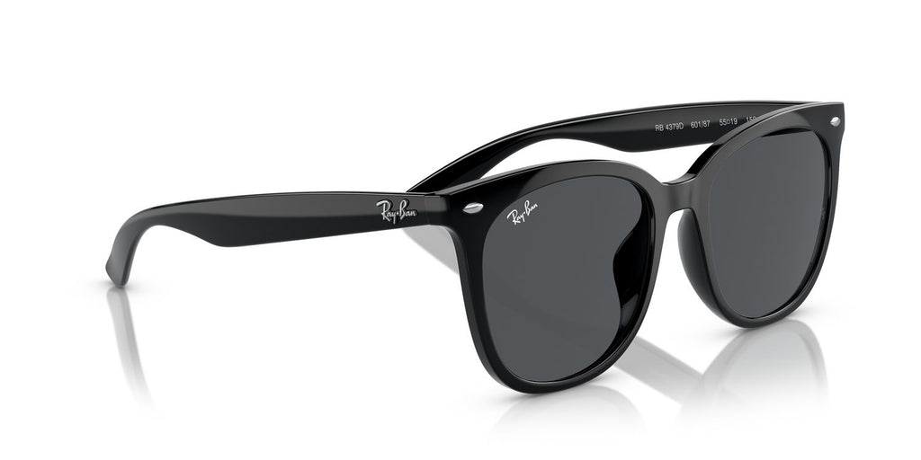 Ray-Ban | 0RB4379D