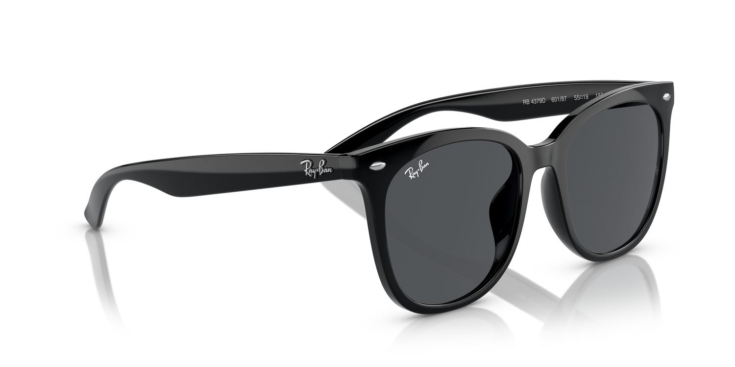 Ray-Ban | 0RB4379D