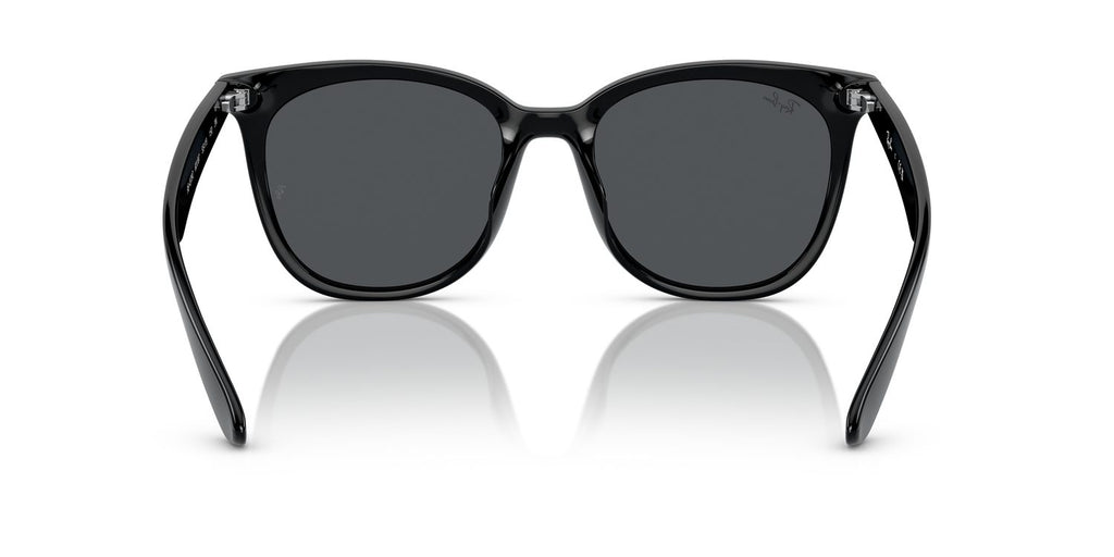 Ray-Ban | 0RB4379D