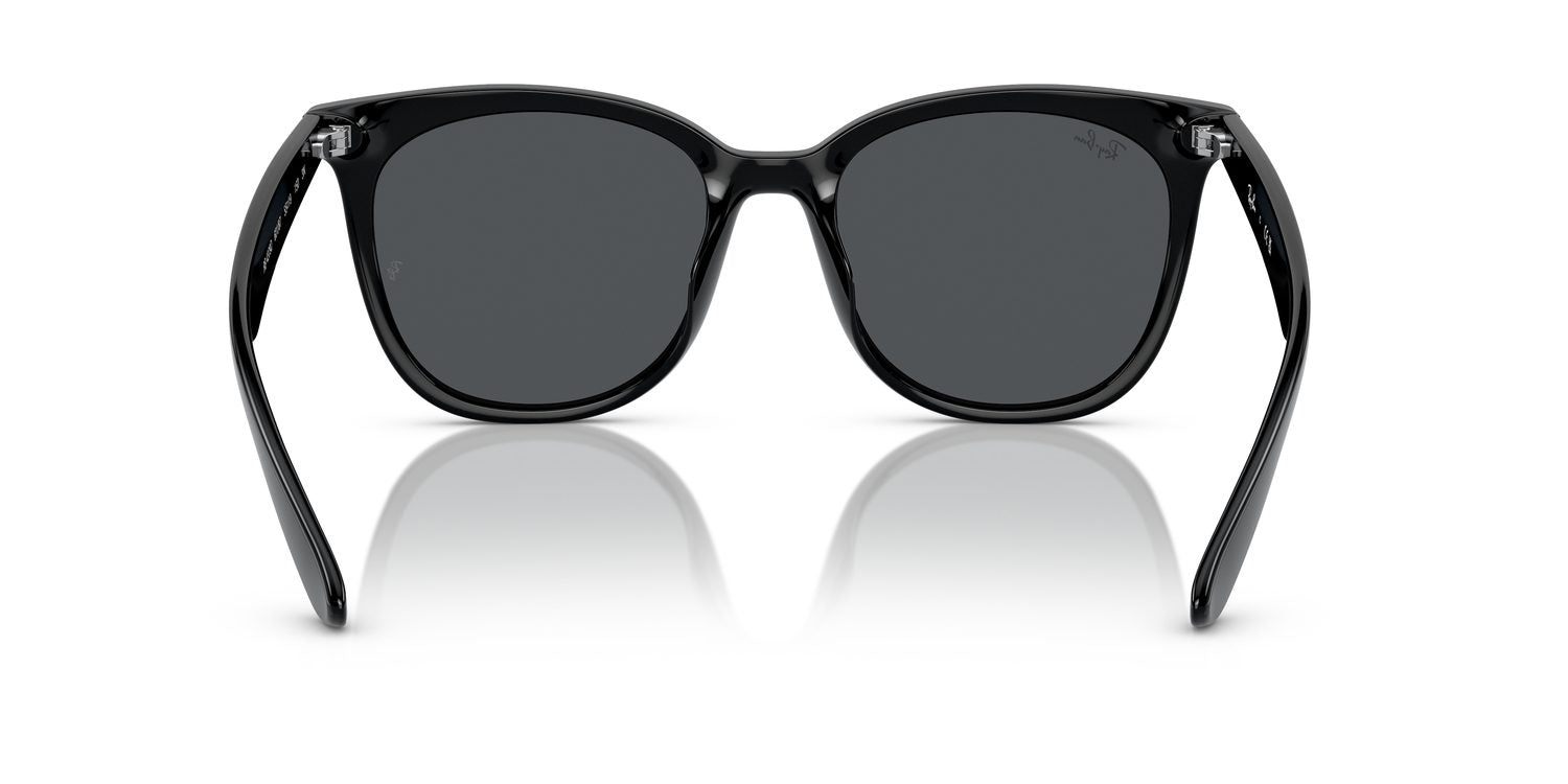 Ray-Ban | 0RB4379D