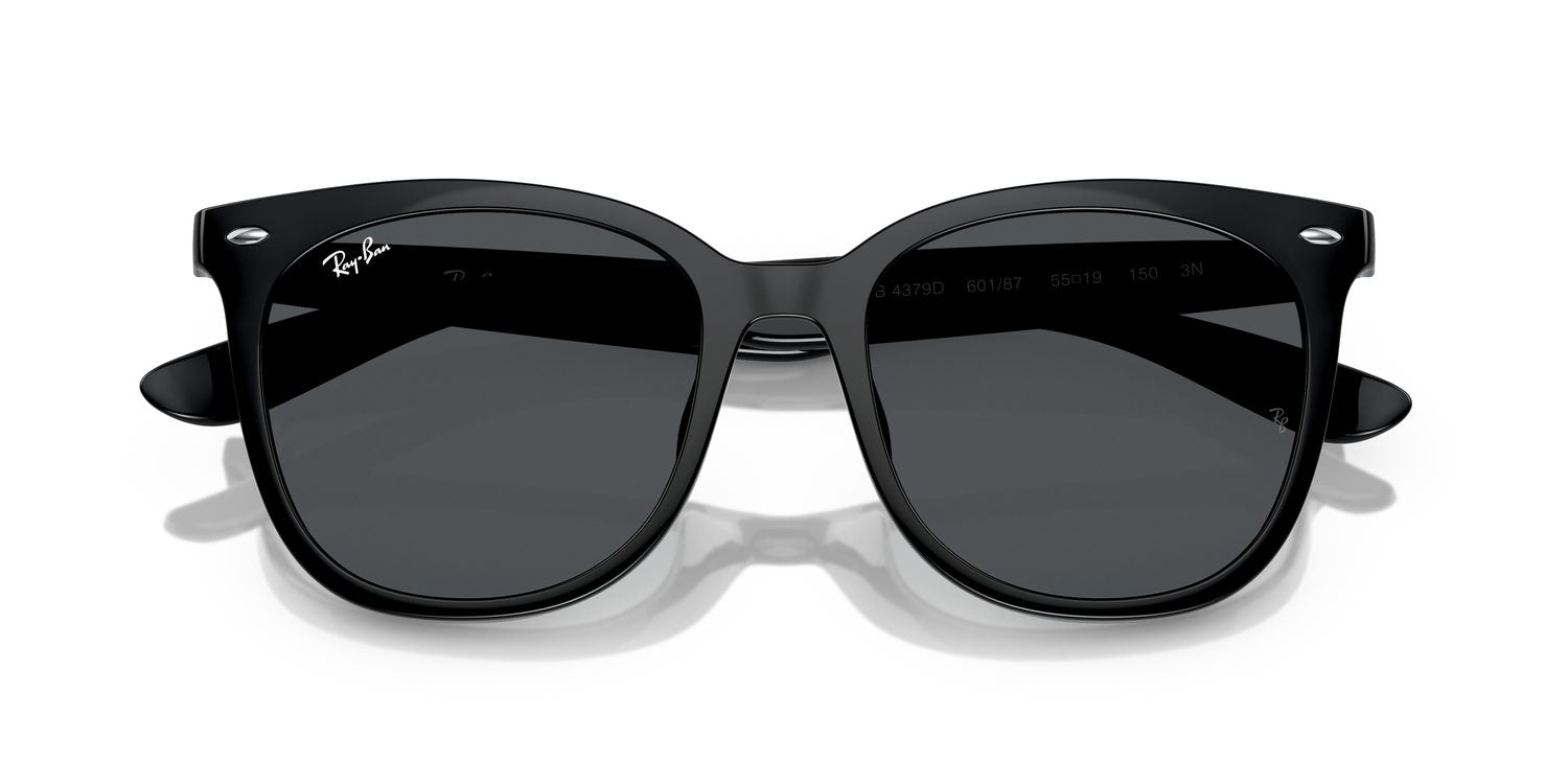 Ray-Ban | 0RB4379D