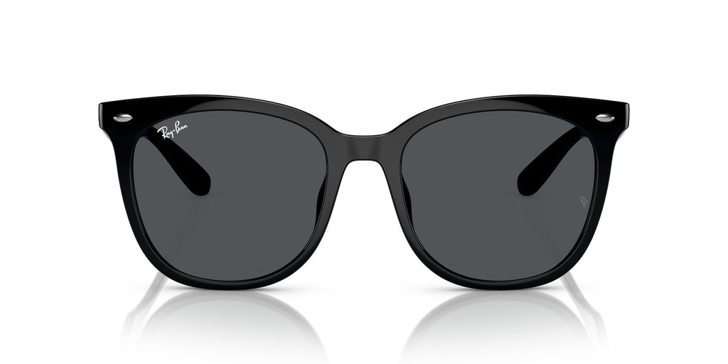 Ray-Ban | 0RB4379D