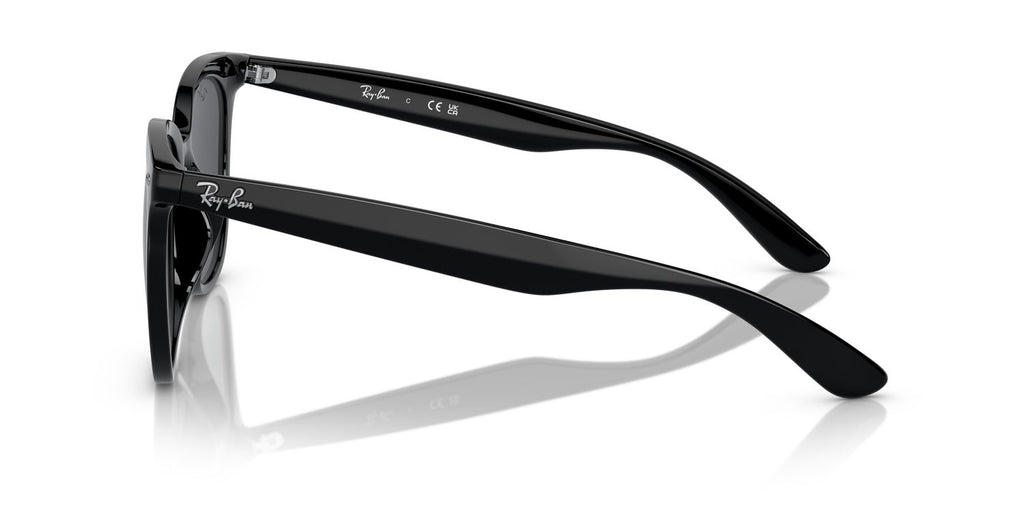 Ray-Ban | 0RB4379D