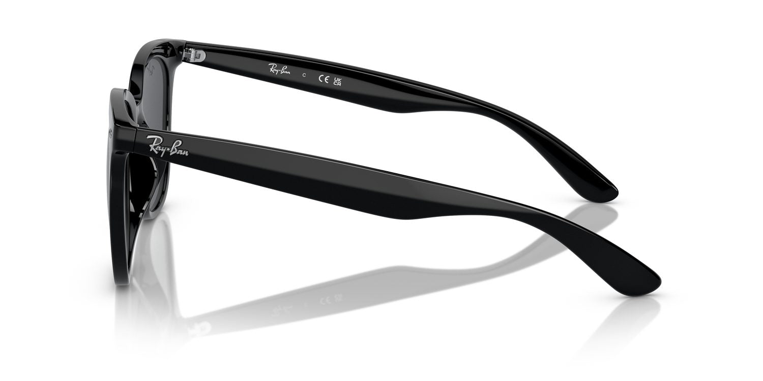Ray-Ban | 0RB4379D