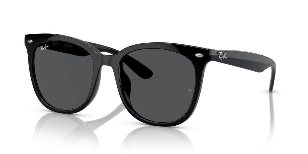 Ray-Ban | 0RB4379D