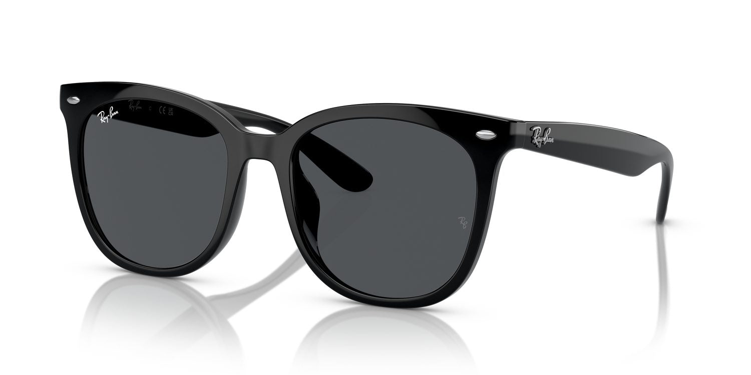 Ray-Ban | 0RB4379D