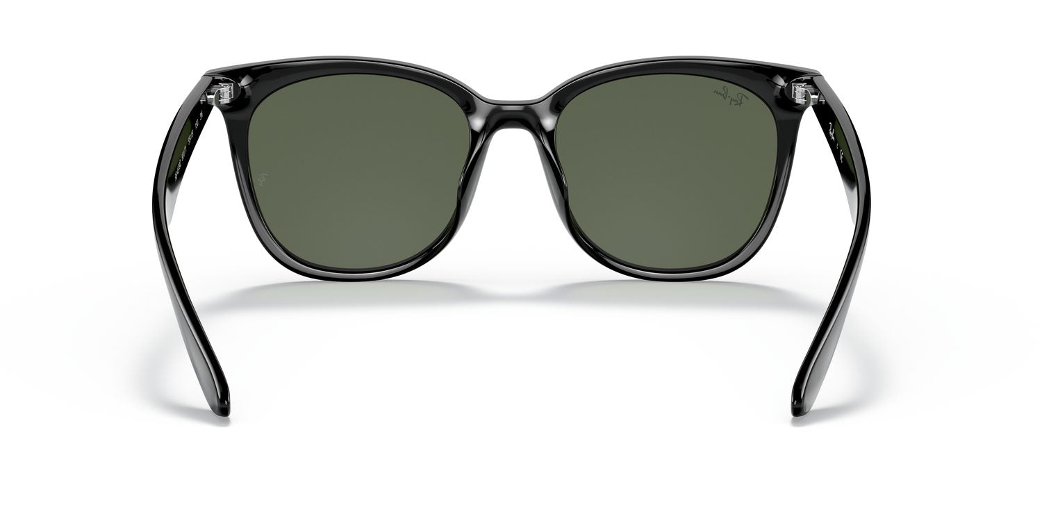 Ray-Ban | 0RB4379D