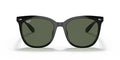 Ray-Ban | 0RB4379D