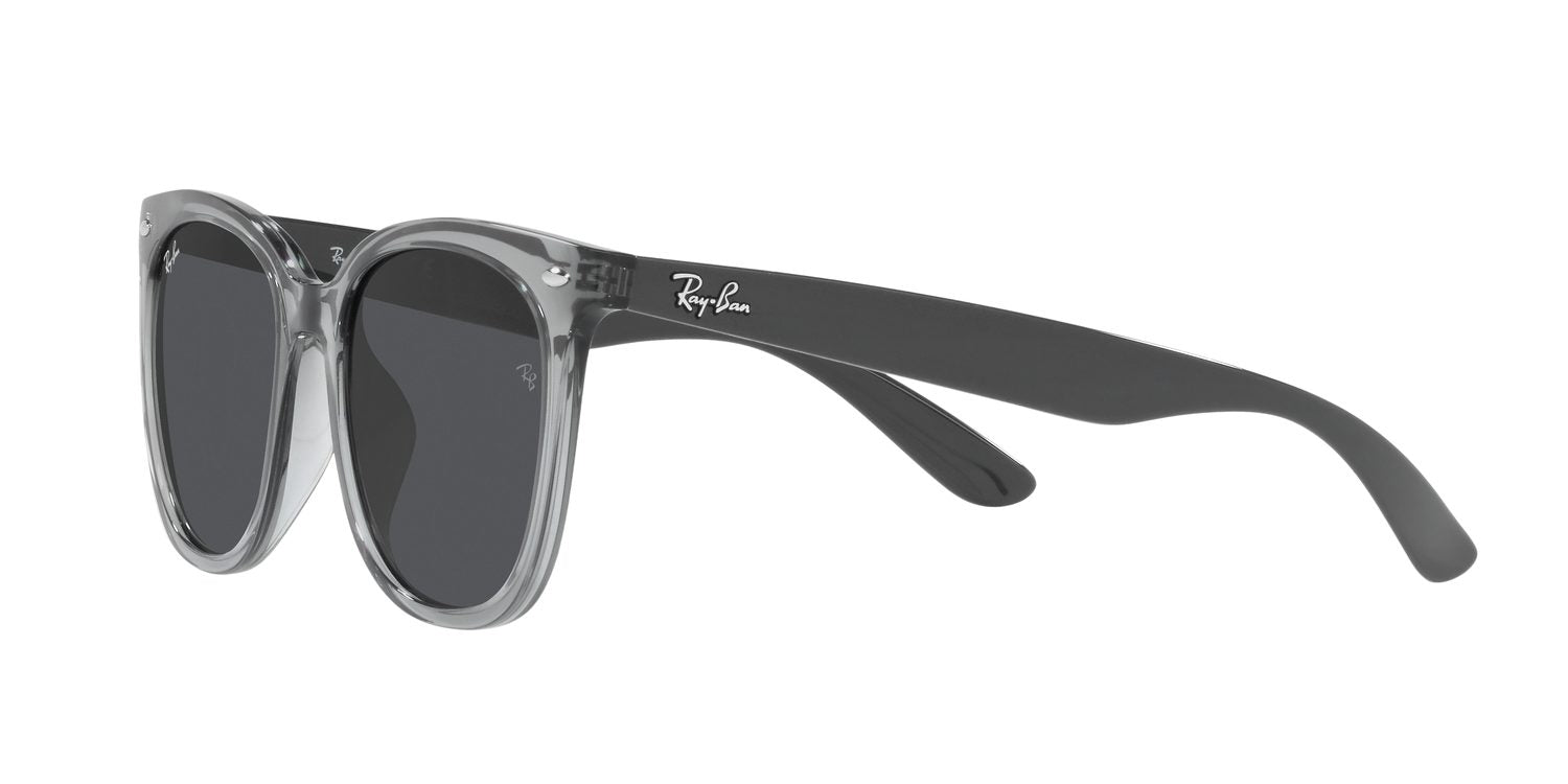 Ray-Ban | 0RB4379D