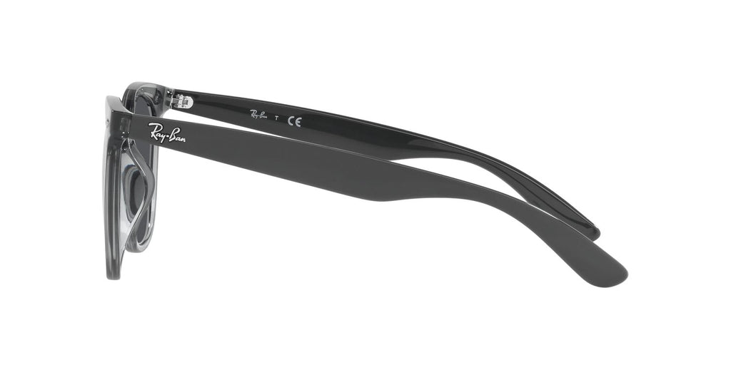 Ray-Ban | 0RB4379D