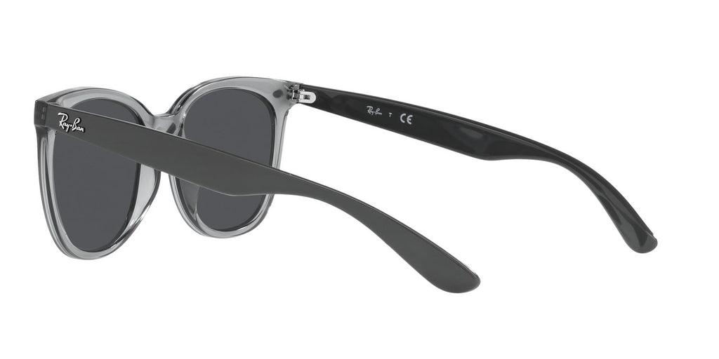 Ray-Ban | 0RB4379D
