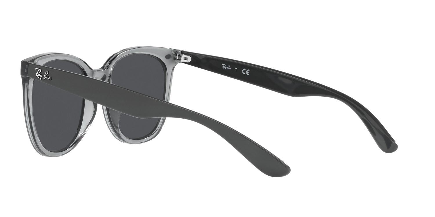 Ray-Ban | 0RB4379D