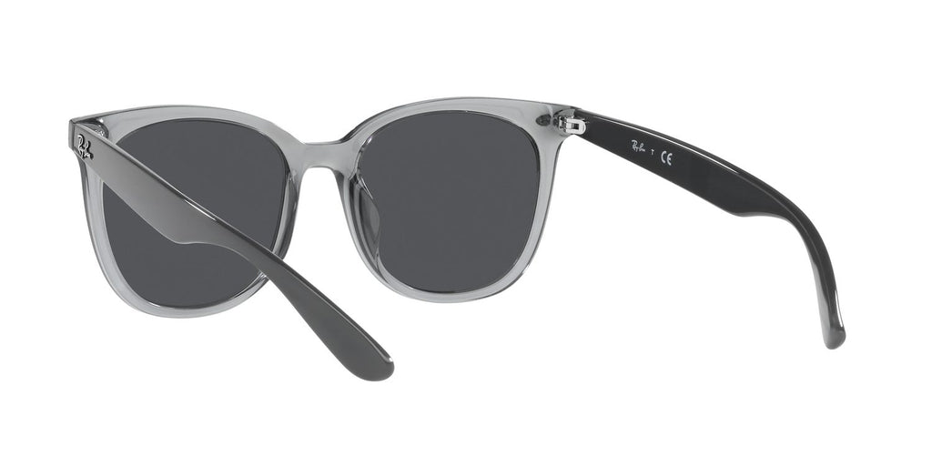 Ray-Ban | 0RB4379D