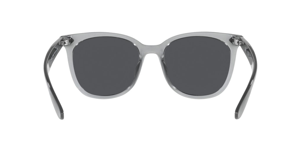 Ray-Ban | 0RB4379D