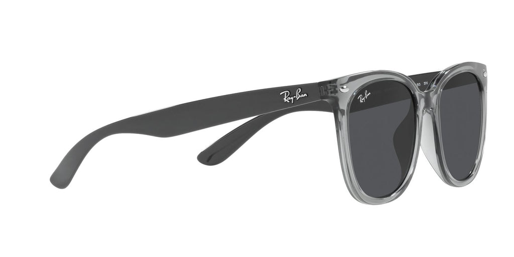 Ray-Ban | 0RB4379D