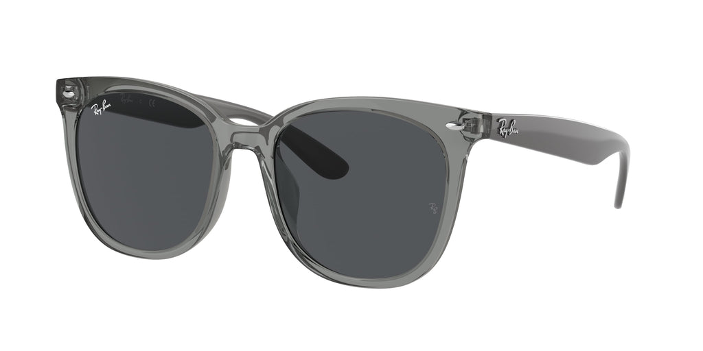Ray-Ban | 0RB4379D