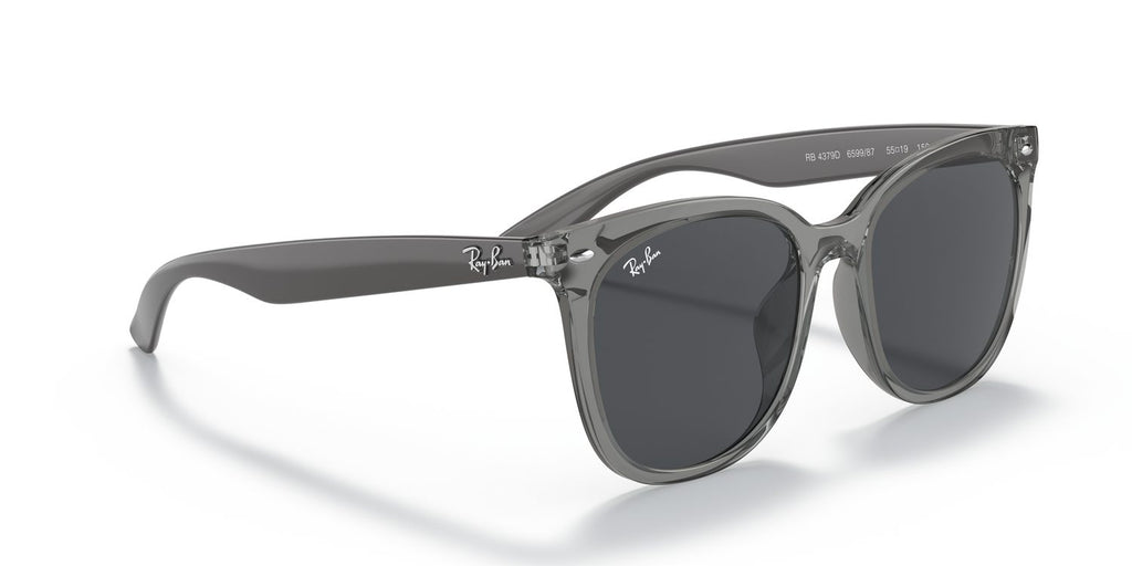 Ray-Ban | 0RB4379D