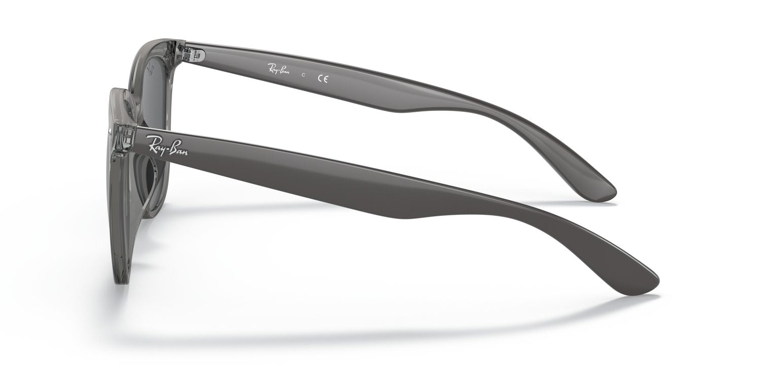 Ray-Ban | 0RB4379D