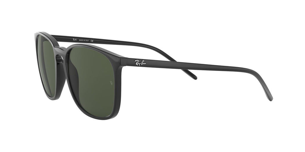 Ray-Ban | 0RB4387