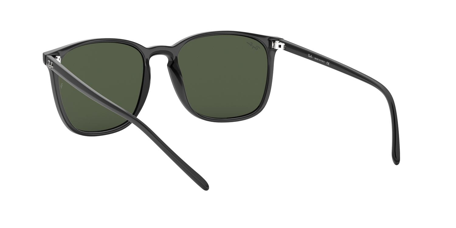 Ray-Ban | 0RB4387