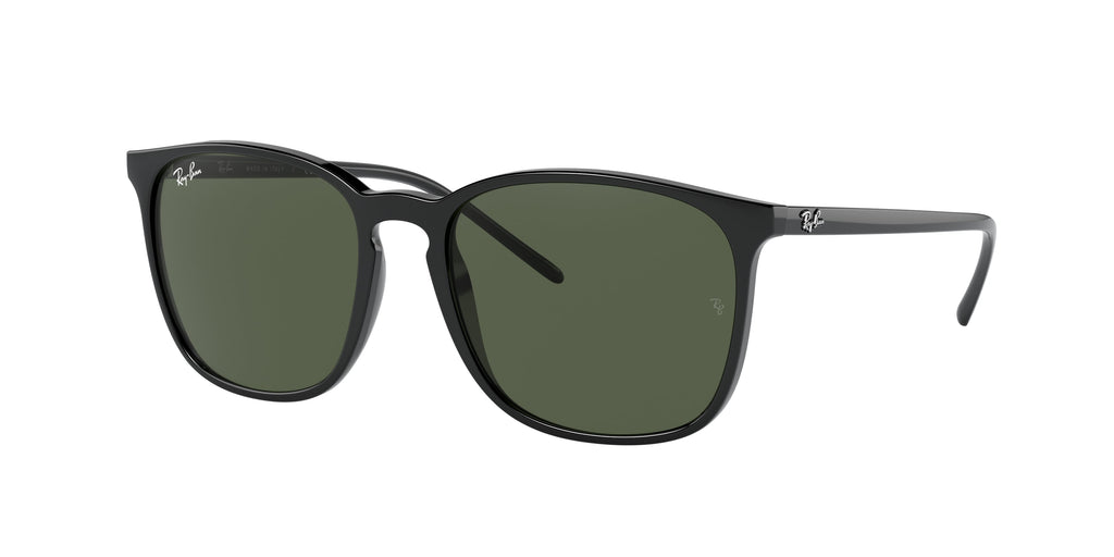Ray-Ban | 0RB4387
